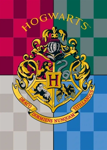 Børnetæppe - Harry Potter - 100x140 cm - Blødt og lækkert Fleece tæppe - Borg Living